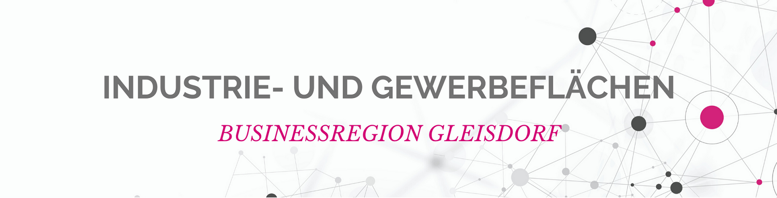 Banner Businessregion Gleisdorf